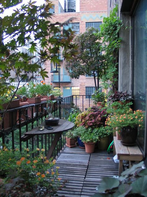 Aménager un petit balcon en ville par Oz by cath architecte d'intérieur à Le Vésinet