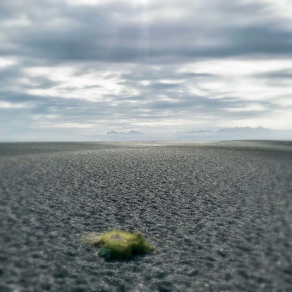 Fjord Islande